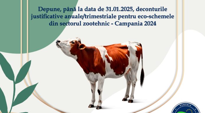 APIA: Precizări cu privire la eco-schemele din sectorul zootehnic