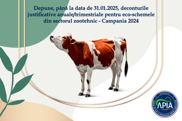 Memphis psd botanical frame with Christmas colors