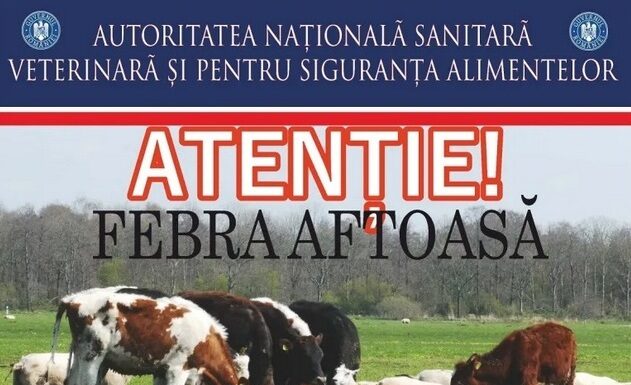 Medicii veterinari, în alertă privind pericolul apariției febrei aftoase