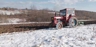 Agricultura pe înțelesul tuturor – Calendarul lucrărilor agricole în luna ianuarie