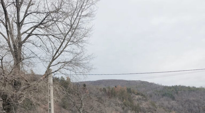 Căutată și cu dronele după ce a dispărut de acasă, la 93 de ani!