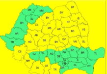 Cod galben de vânt și viscol