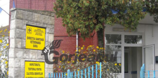 Amenzi de aproape 200.000 lei, aplicate de inspectorii DSVSA Gorj