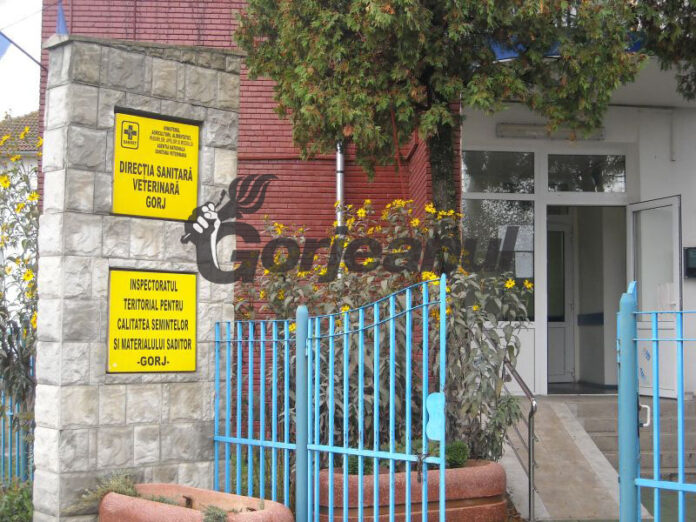 Amenzi de aproape 200.000 lei, aplicate de inspectorii DSVSA Gorj