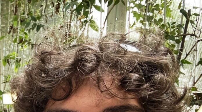 FABIAN LUPULESCU – Dincolo de ceasul cerului