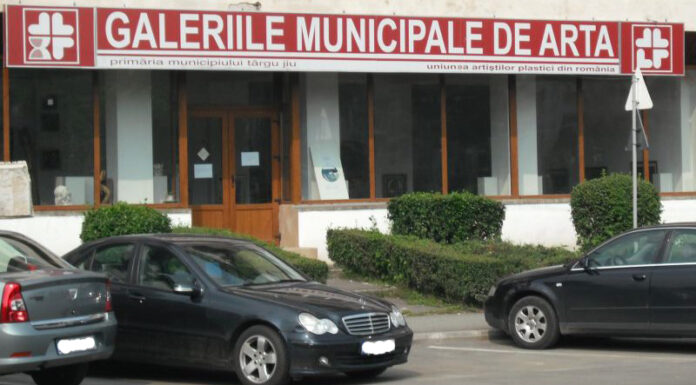 ,,Neverstreet” – o nouă expoziție ce va fi vernisată la Galeriile Municipale de Artă ,,Constantin Brâncuși”, din reședința județului Gorj