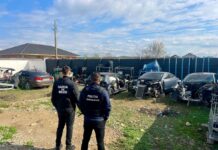 Peste 800 de inspecții ale comisarilor de mediu în 2024. Raport sumar