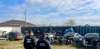 Peste 800 de inspecții ale comisarilor de mediu în 2024. Raport sumar