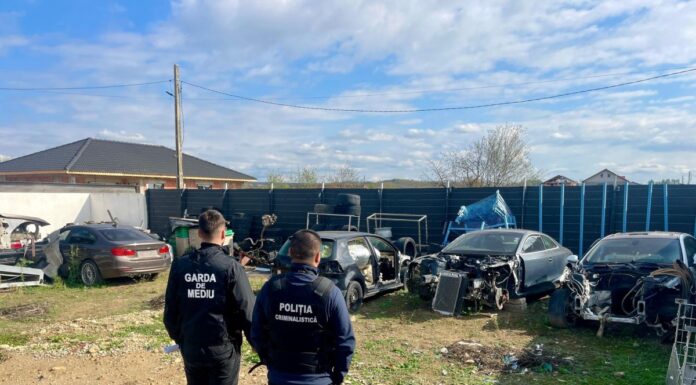 Peste 800 de inspecții ale comisarilor de mediu în 2024. Raport sumar