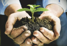 Agricultura pe înțelesul tuturor – Cum să ne protejăm ecologic grădina și gospodăria