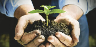 Agricultura pe înțelesul tuturor – Cum să ne protejăm ecologic grădina și gospodăria