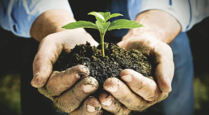 Agricultura pe înțelesul tuturor – Cum să ne protejăm ecologic grădina și gospodăria