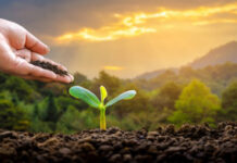 Agricultura pe înțelesul tuturor – Cum să ne protejăm ecologic grădina, casa și gospodăria