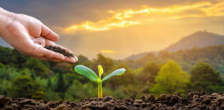 Agricultura pe înțelesul tuturor – Cum să ne protejăm ecologic grădina, casa și gospodăria