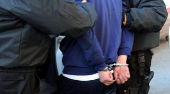 Gorjean urmărit internațional, adus în țară din Germania