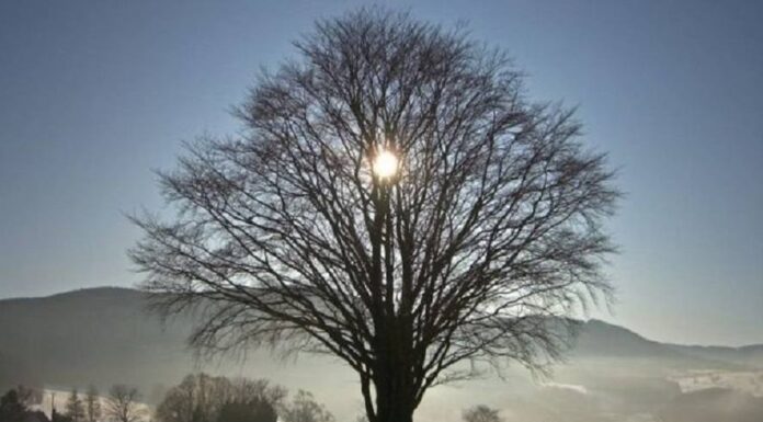 Episod cu temperaturi de primăvară