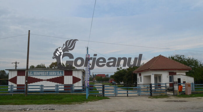 Ce s-a întâmplat cu mandatul directorului Minprest! AMEPIP nu a avizat indicatorii de performanță!