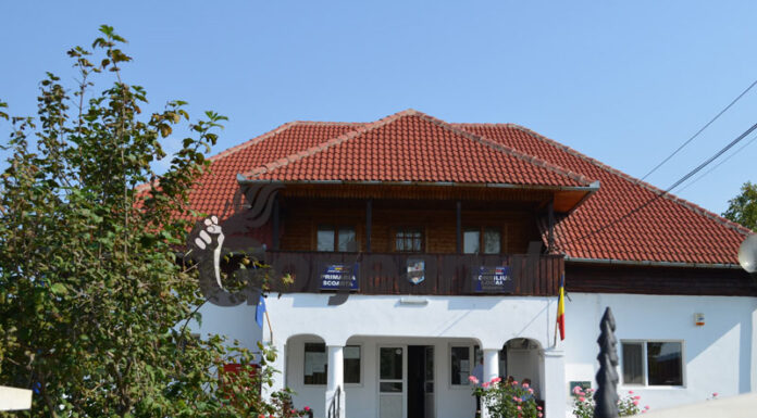 Post de mediator sanitar la o primărie din Gorj