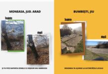 Sute de raportări prin aplicația Let’s Do It, Romania!