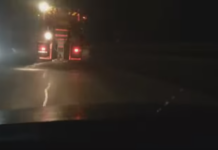 DRDP Craiova: Risc de apariție a poleiului