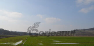 Se actualizează Registrul Agricol!