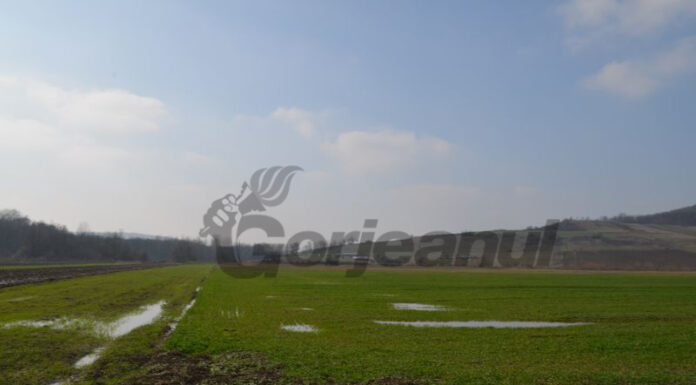 Se actualizează Registrul Agricol!