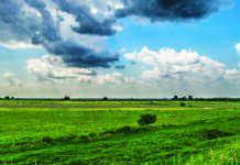 MADR: Noutăți legislative pentru fermieri