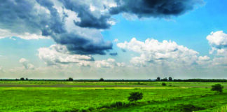 MADR: Noutăți legislative pentru fermieri