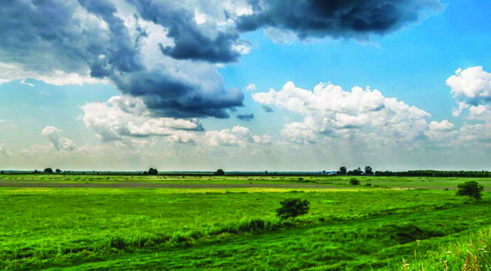 MADR: Noutăți legislative pentru fermieri