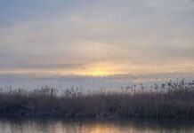 Gorj: Râuri și lacuri înghețate