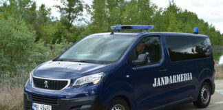 Padeș: Urmărit penal pentru furt de curent