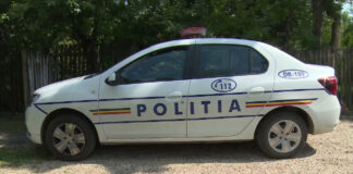 Condamnat pentru scandalul de pe ulița satului. S-a dezbrăcat și i-a amenințat cu securea