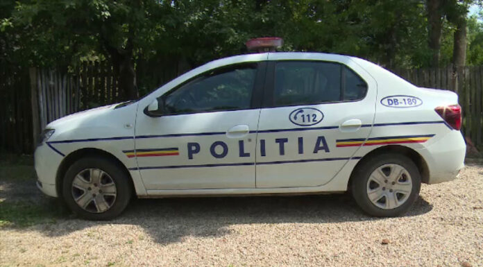 Condamnat pentru scandalul de pe ulița satului. S-a dezbrăcat și i-a amenințat cu securea