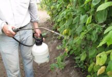 Agricultura pe înțelesul tuturor – Cum să ne protejăm ecologic grădina, casa și gospodăria