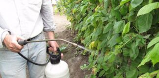 Agricultura pe înțelesul tuturor – Cum să ne protejăm ecologic grădina, casa și gospodăria