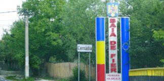 A doua ediție a Festivalului Brânzei!