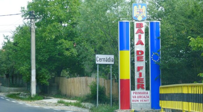 A doua ediție a Festivalului Brânzei!