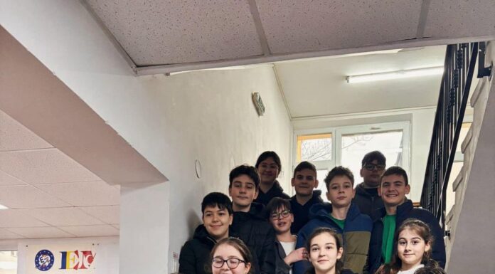 Elevi premiați la un concurs regional de matematică-informatică