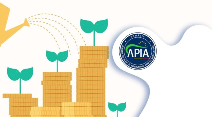 APIA: Stadiul autorizării plăților finale aferente anului de cerere 2024