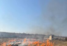 Localnic din Bengești, amendat de Garda de Mediu