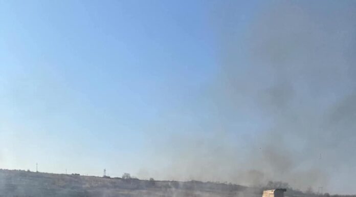 Localnic din Bengești, amendat de Garda de Mediu