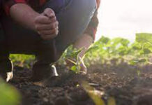 Agricultura pe înțelesul tuturor – Cum să ne protejăm ecologic grădina, casa și gospodăria