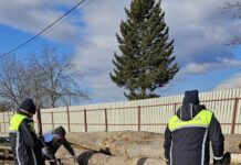 Controale ale polițiștilor la un depozit de lemne din Novaci