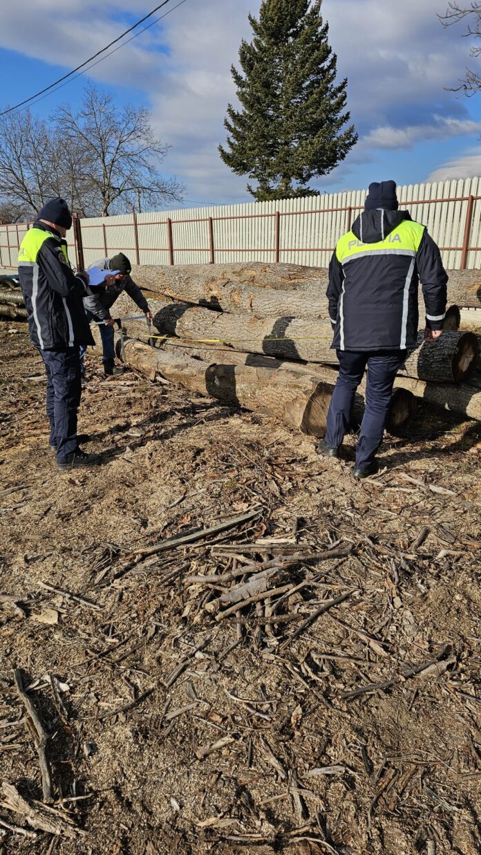 Controale ale polițiștilor la un depozit de lemne din Novaci