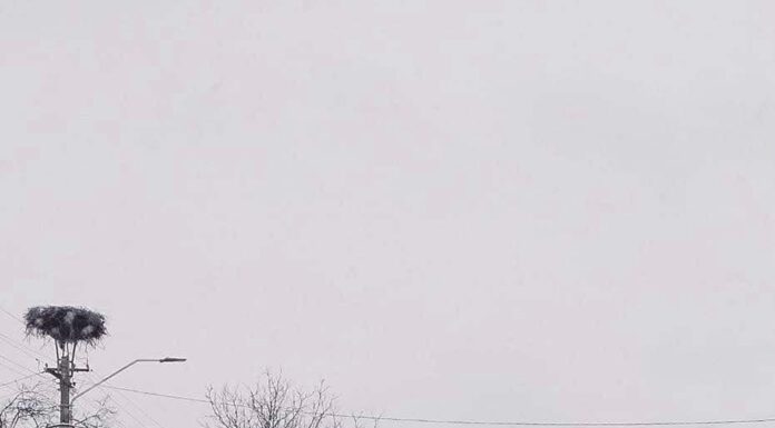 Bărbat rănit într-un accident produs la Bengești