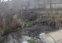 VIDEO: Pârâul care traversează Cartierul Primăverii pute! Instituțiile statului se țin de nas și își pasează responsabilitățile de la una la alta, spre disperarea locuitorilor din zonă!