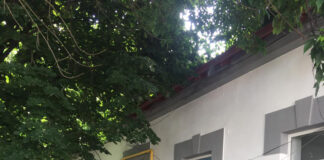 Schela: Tânărul cu handicap, ținut de părinți în spatele unor gratii, rămâne internat la Psihiatrie