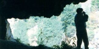 Repere hivernale – CURIOZITĂȚI DIN LUMEA CARSTULUI GORJEAN