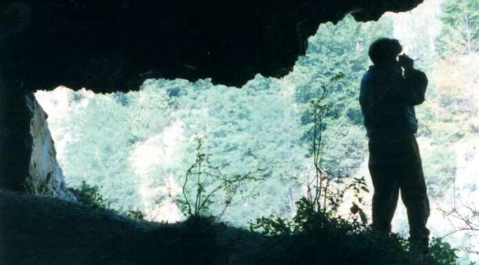 Repere hivernale – CURIOZITĂȚI DIN LUMEA CARSTULUI GORJEAN