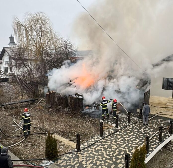 WhatsApp Image 2025-02-17 at 10.48.37